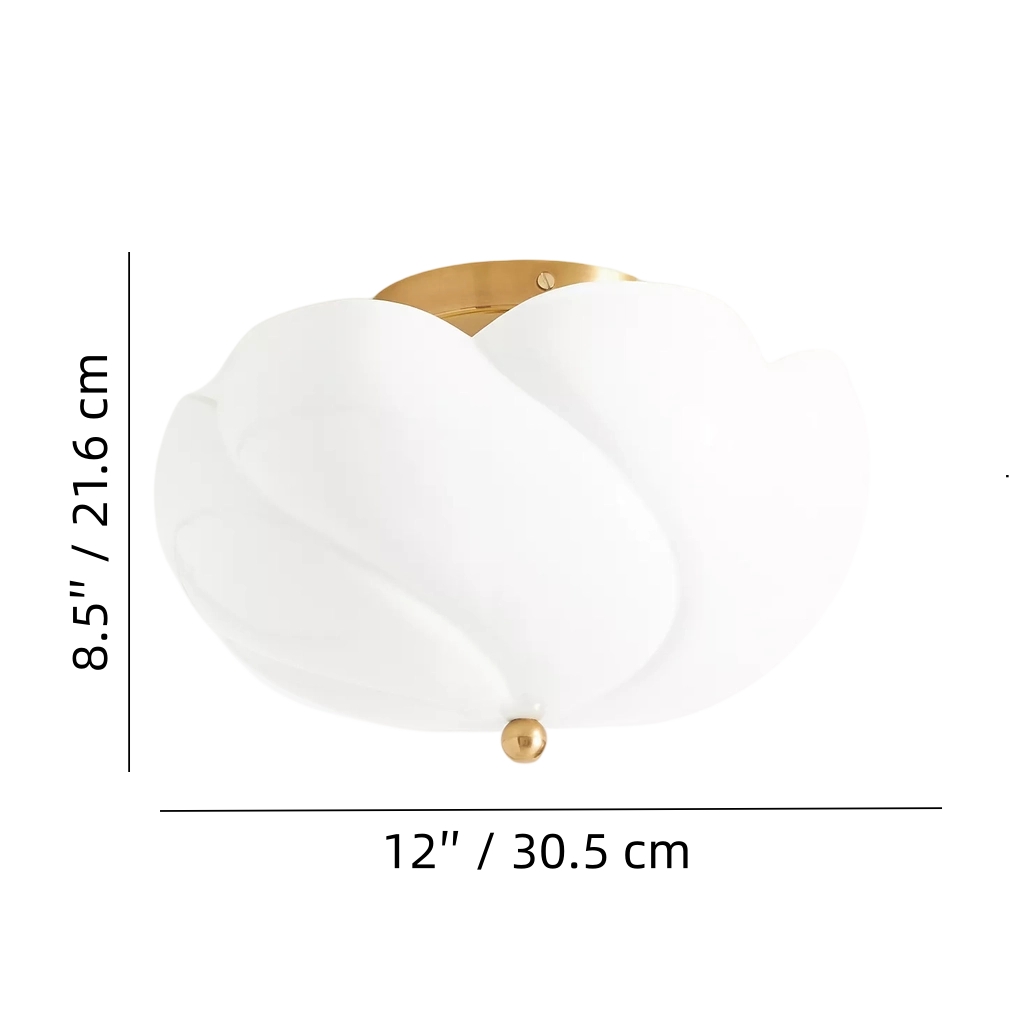 Modo ceiling light size diagram