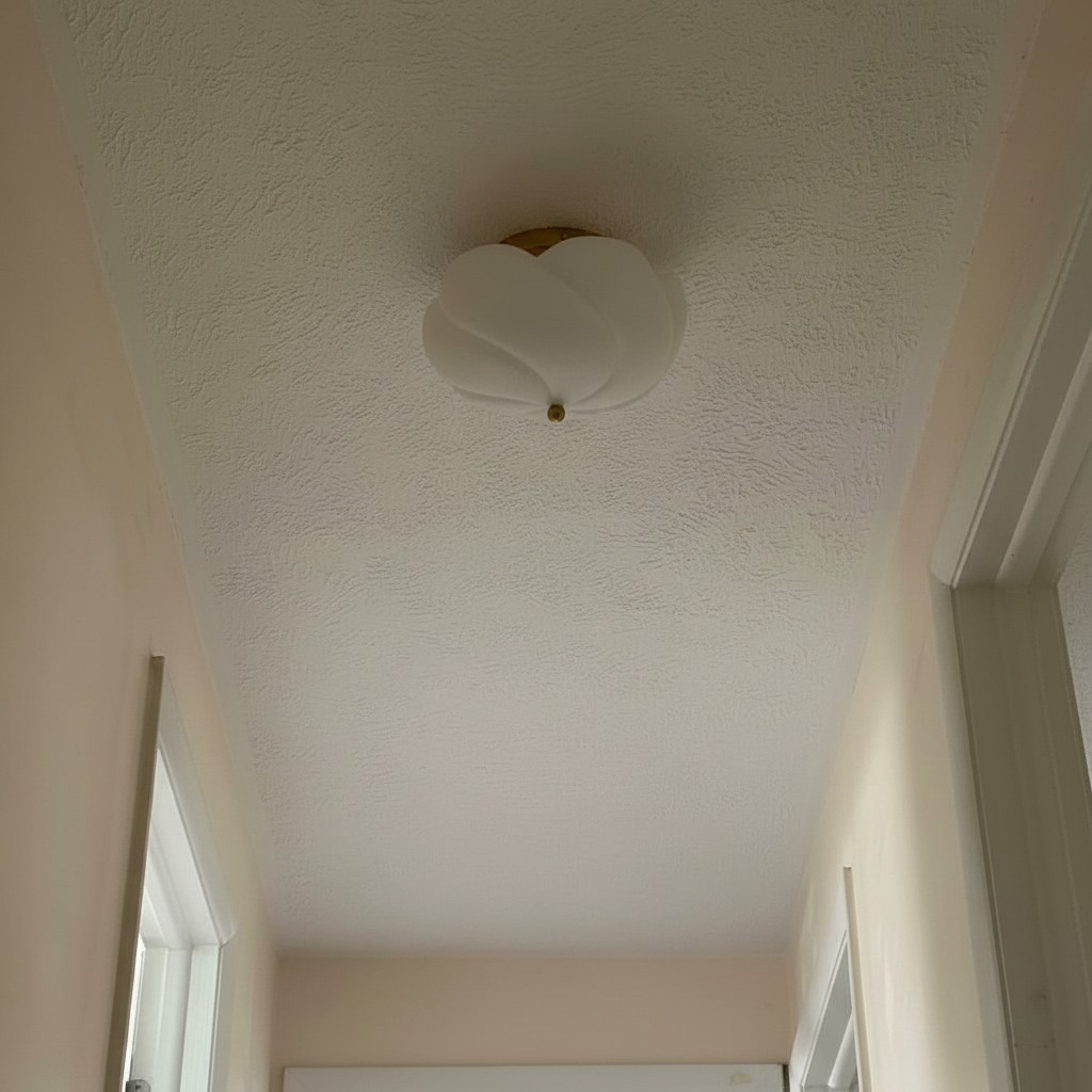 Ceiling view with Modo ceiling light