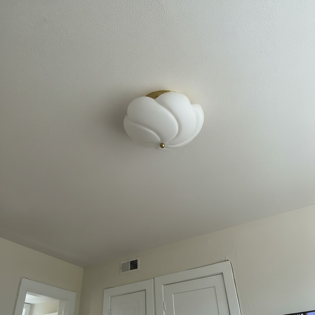Customer interior with Modo ceiling light
