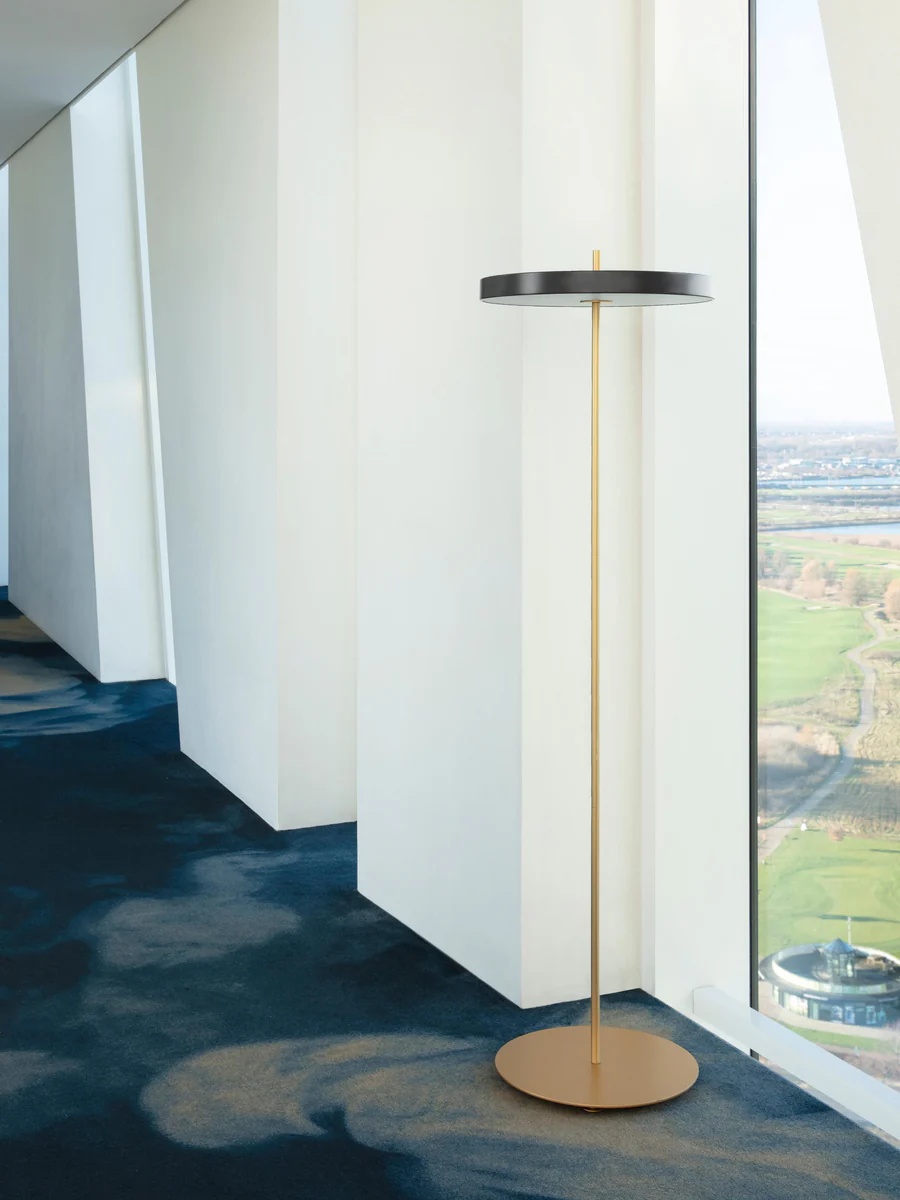 Asteria lamp beside large windows