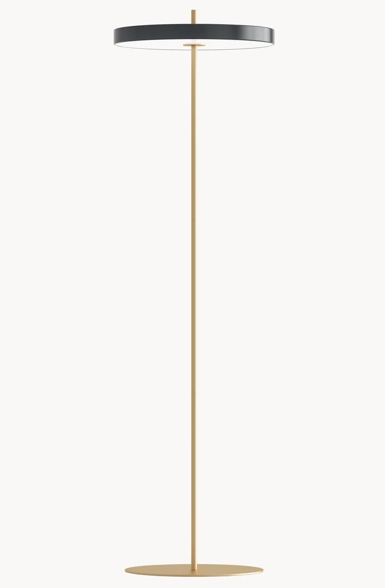 Asteria floor lamp anthracite and gold option shown full height